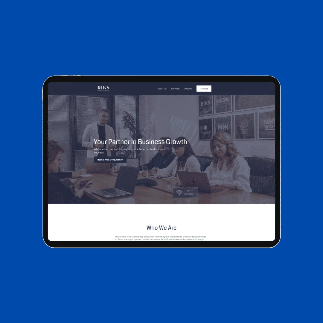 NIKSCONSULTING.GE